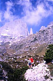Panoramica nei pressi del Castelletto, Cima Brenta Alta e Campanile Alto.