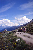Panorama verso il vecchio Rif. Sesvenna.