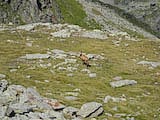 Clicca qui per ingrandire.