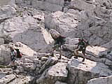 Clicca qui per ingrandire.