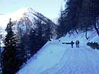 Verso la Malga Cadino