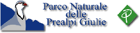 Parco Naturale delle Prealpi Giulie