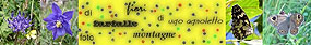 www.ugoagnoletto.it