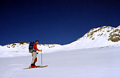 Lele verso il Passo delle Selle.