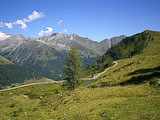 Clicca qui per ingrandire.