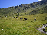 Clicca qui per ingrandire.