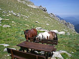 Clicca qui per ingrandire.