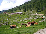 Clicca qui per ingrandire.