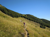 Clicca qui per ingrandire.
